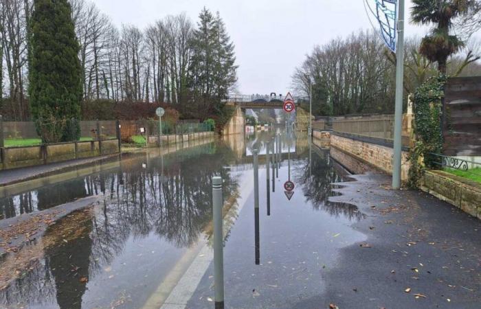 circondato dall’acqua, va a salvare suo padre