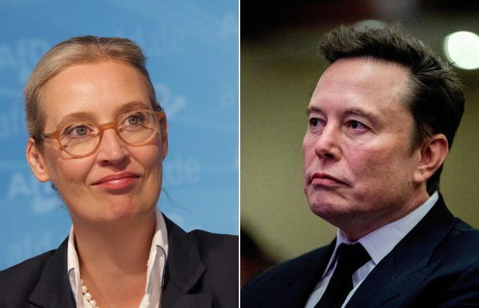 Elon Musk esorta i tedeschi a votare per AfD nell’ultimo coinvolgimento nella politica europea