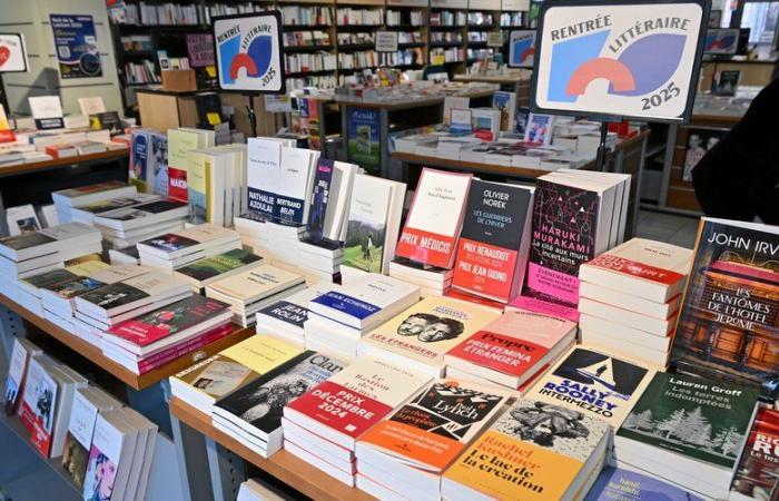 Slimani, Lemaire, Beigbeder, Springora, Grangé, Ferey: 500 romanzi attesi per un “piccolo ritorno” letterario