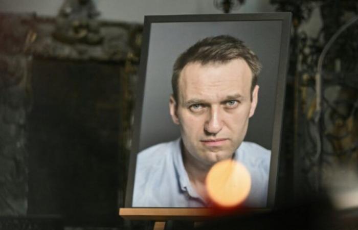 Russia: la prossima settimana verdetto per gli avvocati di Navalny, accusati di “estremismo”: News