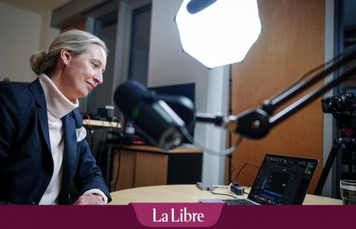 Con Alice Weidel il partito tedesco di estrema destra AfD sceglie una figura atipica