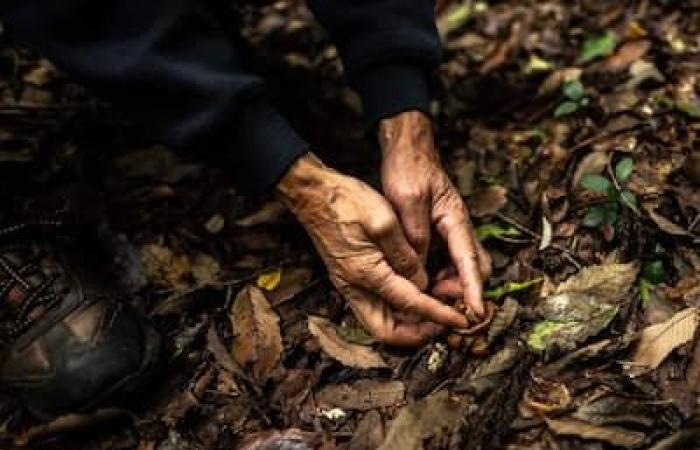 [PHOTOS] Il “maestro degli escrementi” giapponese è orgoglioso di nutrire direttamente Madre Natura