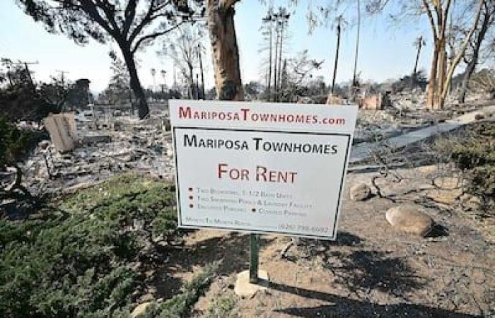 Incendi a Los Angeles: zone colpite sotto stretta sorveglianza per evitare saccheggi