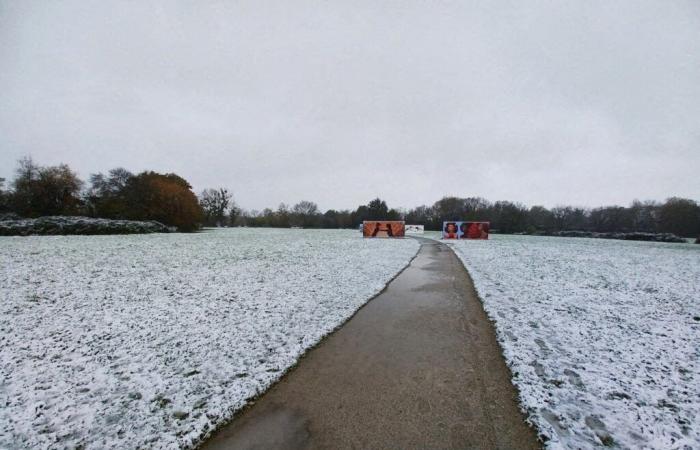 Neve annunciata nella Sarthe da Météo-France, per questo venerdì 10 gennaio: cosa aspettarsi?