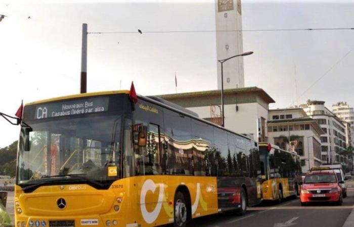 Casabus adegua i percorsi di nove linee autobus