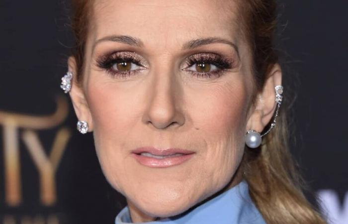 Incendi di Los Angeles: Céline Dion si mobilita per le vittime