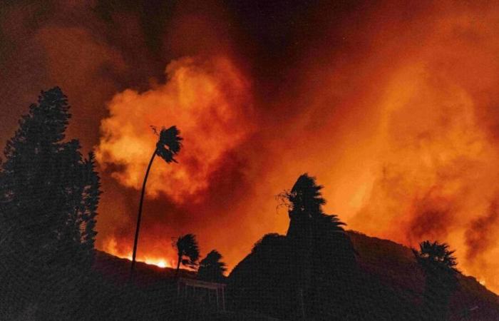 Evacuazioni, forte vento e danni: ecco cosa sappiamo degli incendi a Los Angeles