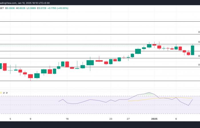 queste altcoin parlano di loro!