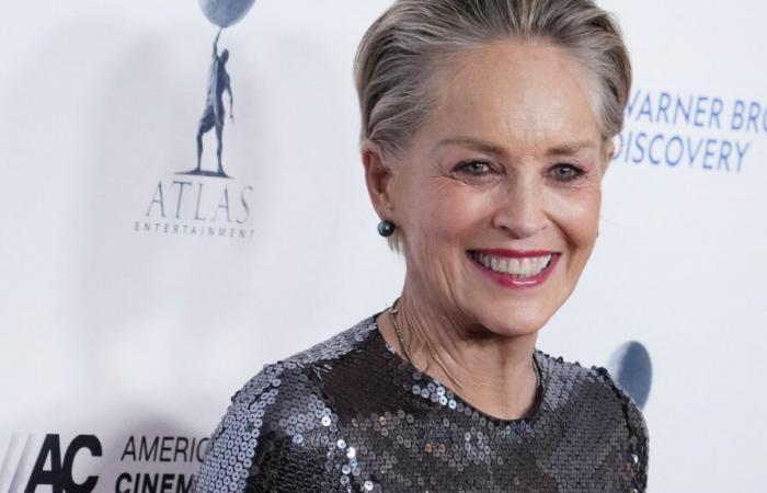 Sharon Stone: “Ho perso il posto nella coda di Hollywood” (ESCLUSIVA)