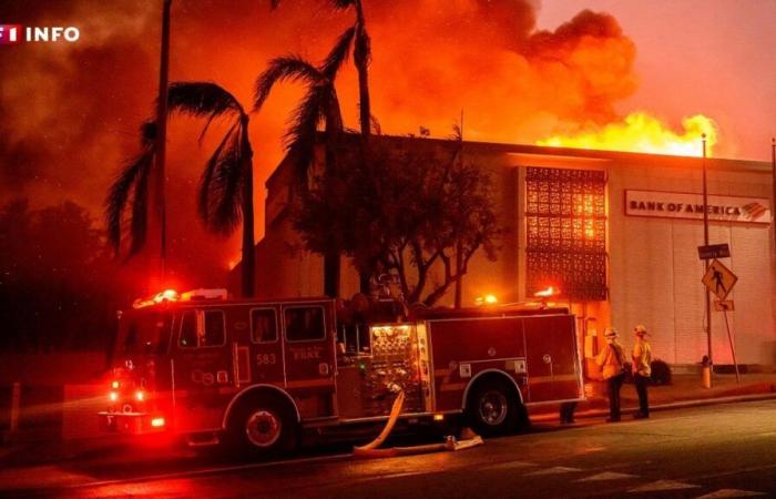 LIVE – Incendi a Los Angeles: almeno 10 morti, secondo un nuovo report