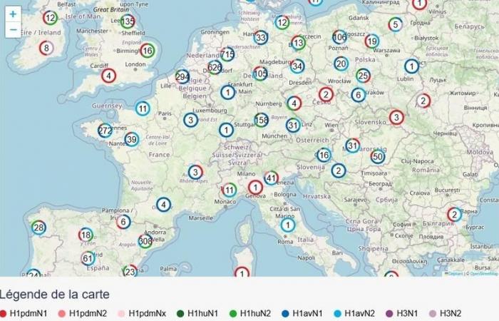 Influenza suina: le frequenze di rilevamento delle varianti dell’influenza A differiscono da paese a paese | Ci riesci, maiale