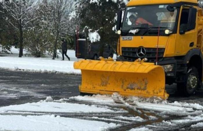 Il grintoso aggiornamento salato del Comune di Wrexham tra neve e ghiaccio