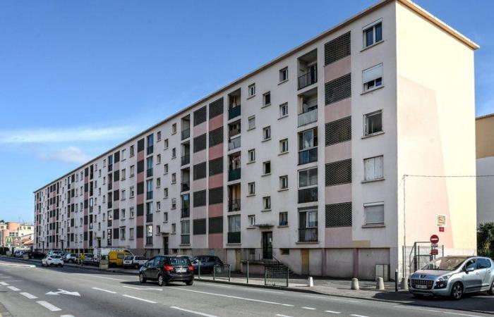 Perpignan, Nîmes, Albi… perché 13 dei 20 quartieri più poveri di Francia si trovano in Occitania?