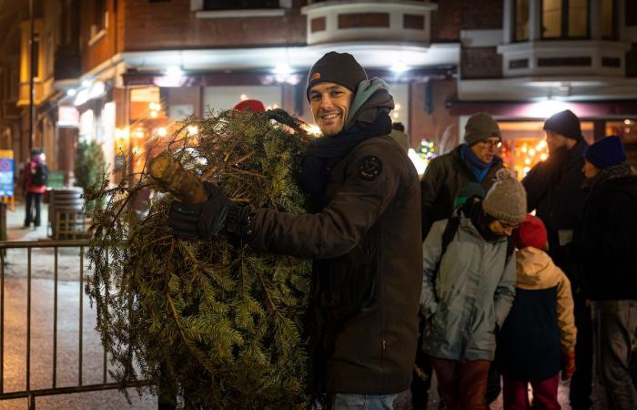 10 metri 77, record da battere! Nono campionato belga di lancio degli abeti ad Auderghem: “Cosa sono questi pazzi?”