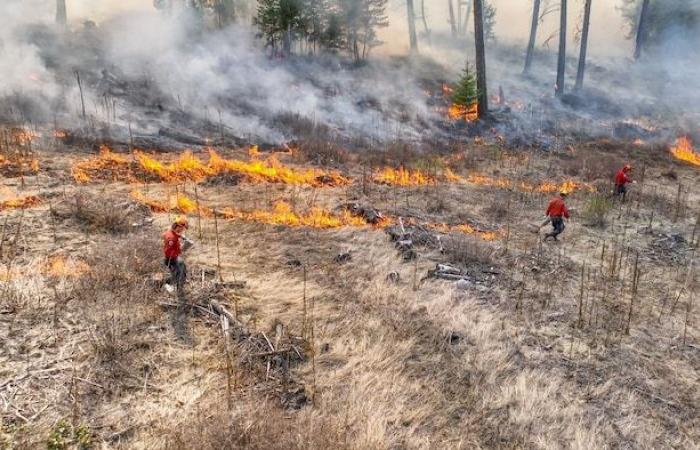 Lezioni da imparare dagli incendi di Los Angeles, dicono gli esperti