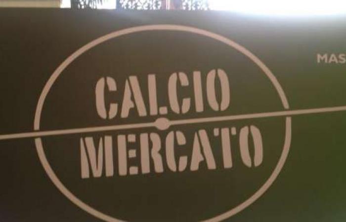 LIVE CALCIOMERCATO – Ibrahimovic verso la Lazio. Il Venezia insiste per Belotti. Juventus, Araujo e Kolo Muani nomi caldi. Napoli, Kvaratskhelia verso il PSG: piace Ndoye ma il Bologna fa muro