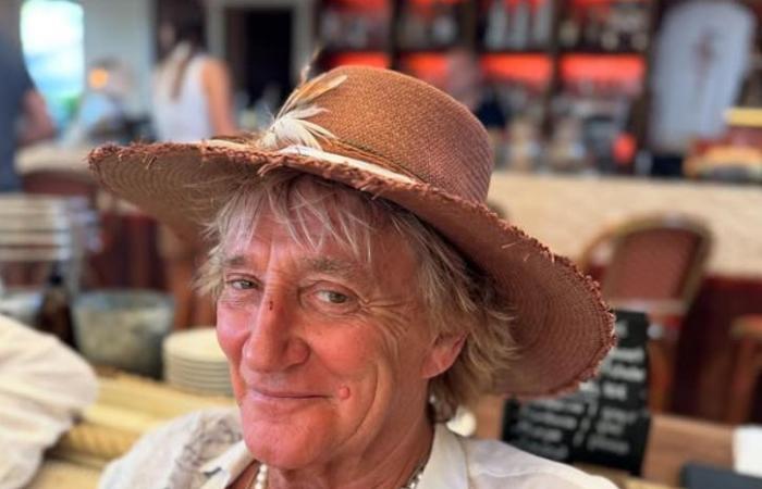 Penny Lancaster è una bomba bionda nella foto rinvenuta con Sir Rod Stewart