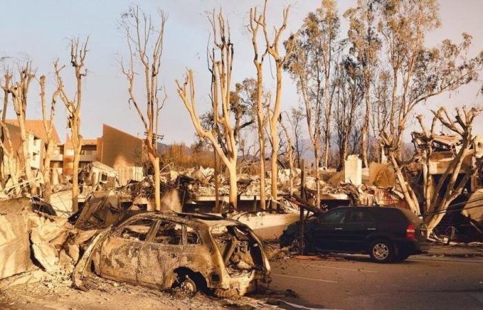 Incendi di Los Angeles… nuovi ordini di evacuazione emessi in diverse zone