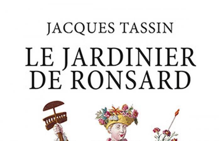 Camille Laurens, Blandine Rinkel, Donatella Di Pietrantonio, Hervé Commère… La selezione di libri di “Sud Ouest”