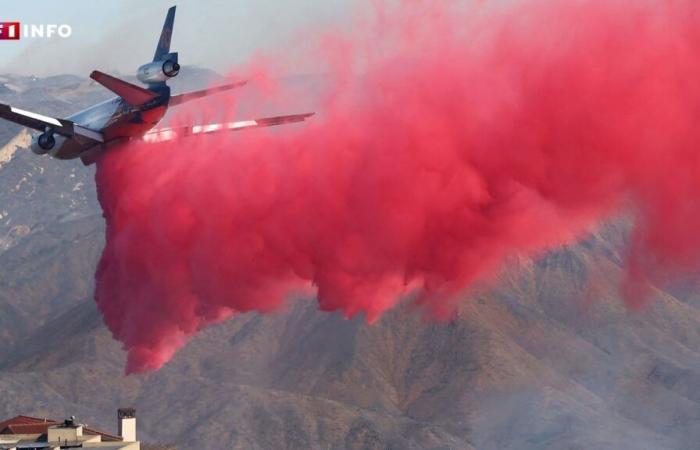 LIVE – Incendi a Los Angeles: calma nei venti, gli allarmi di evacuazione lanciati per errore seminano il panico