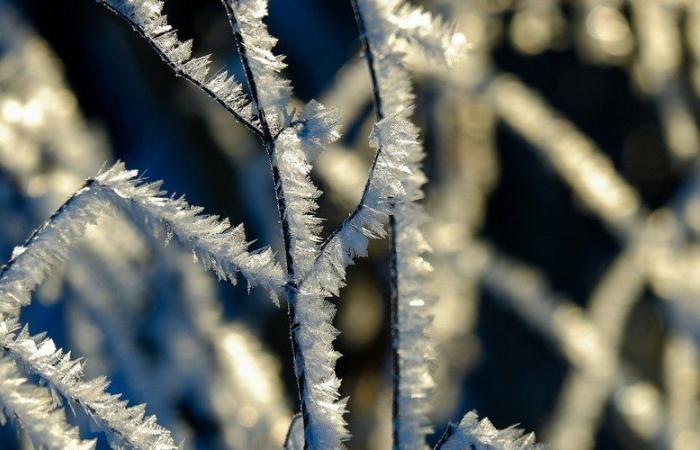 MAPPA. Météo France attiverà una vigilanza “molto fredda” questa domenica, ecco i dipartimenti interessati