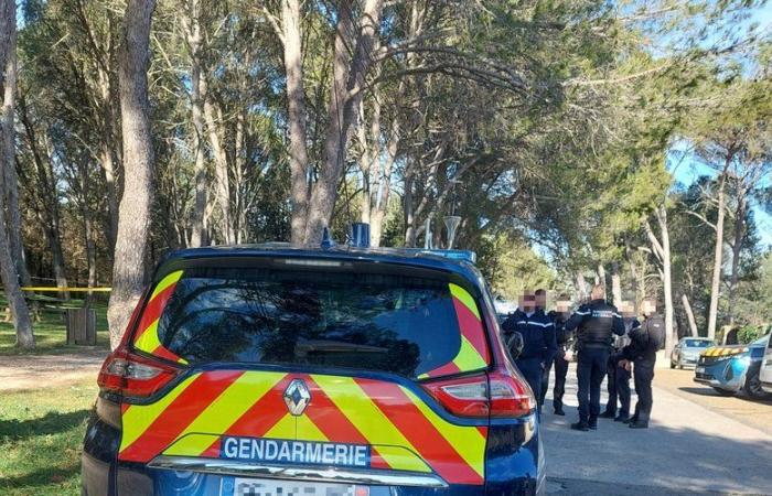 Un jogger aggredito alla gola con un coltello in un parco del Gard: l’aggressore in fuga, zona transennata