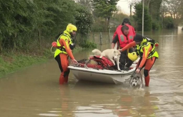 quattro dipartimenti restano in allerta