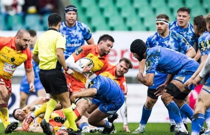 Rugby – Challenge Cup: “Sarà semplice e brutale”, la Sezione del Paloise guidata dal fuoco interiore contro i Dragoni