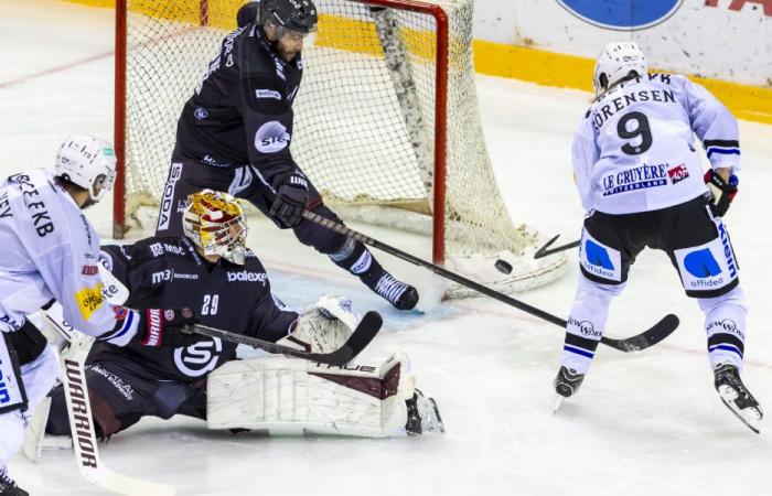 Il Genève-Servette ricade nei fallimenti contro il Friburgo-Gottéron