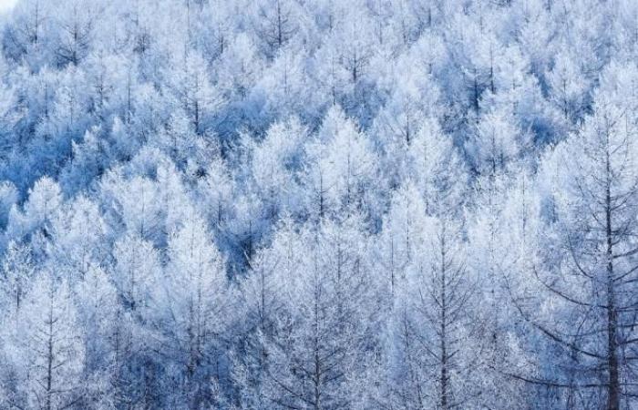 qual è la vigilanza “molto fredda”, che riguarda diversi dipartimenti questa domenica?