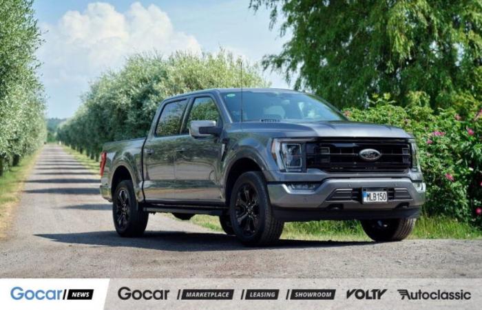 Il Ford F-150, che piace agli americani, arriva in…