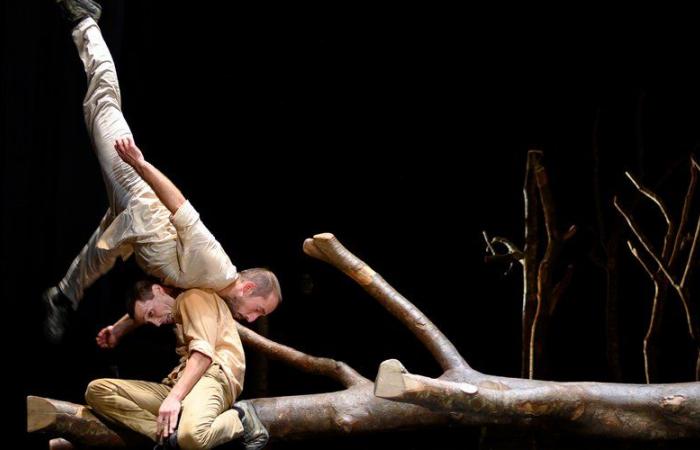 “Pour Hêtre”, spettacolo di danza e circo in trio a Lavelanet-Culture