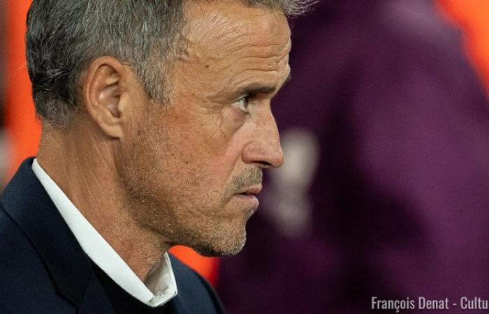 Partita: Luis Enrique prima del PSG/Saint-Etienne: “Vedo una squadra totalmente connessa e unita”