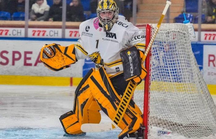 Hockey su ghiaccio: l’Ajoie batte il Lugano e torna a sei punti dal 13esimo posto