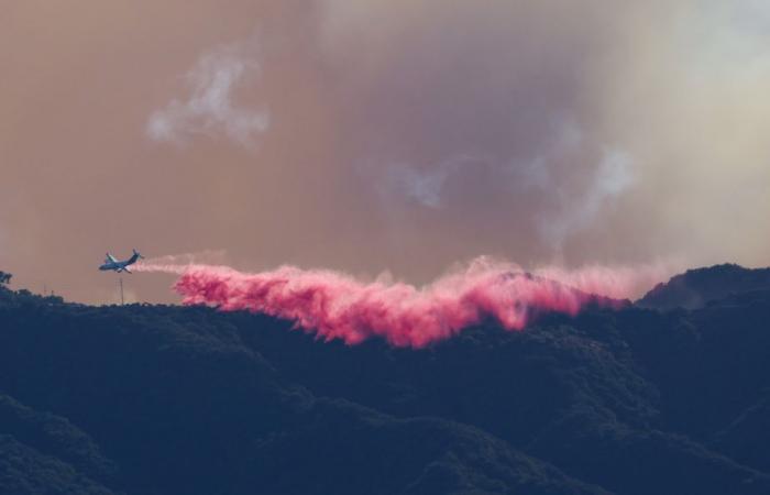 La stampa in California | Distruzione, disordine e aiuto reciproco