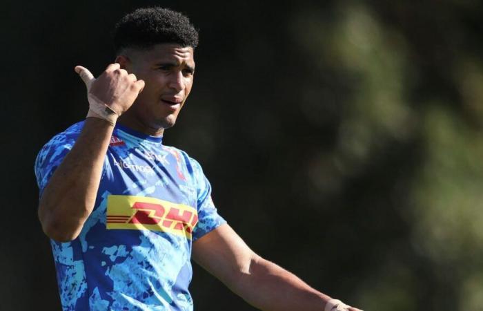 Springboks: il preoccupante aggiornamento di Feinberg-Mngomezulu dopo il ‘rischio’ Stormers : Planet Rugby