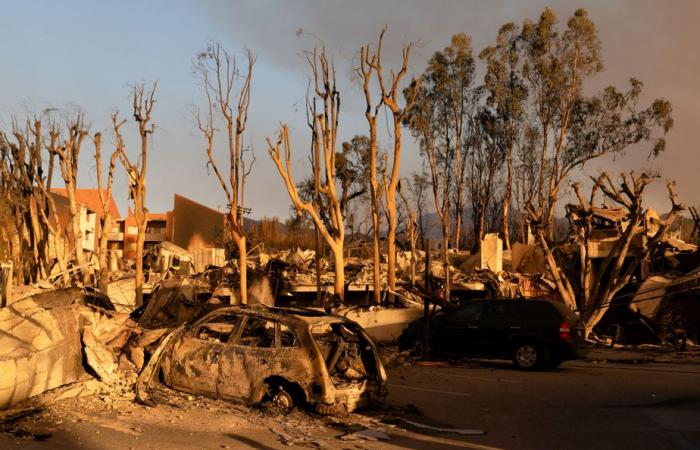 Los Angeles | Gli incendi si sono propagati nonostante gli sforzi dei vigili del fuoco