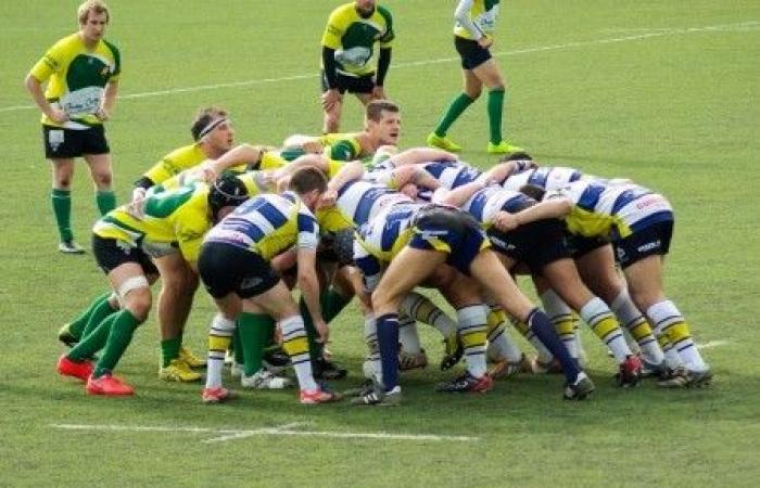 l’assurdità ecologica del rugby europeo