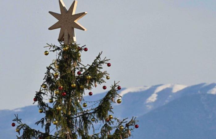 Incendio dell’albero di Natale a Friburgo