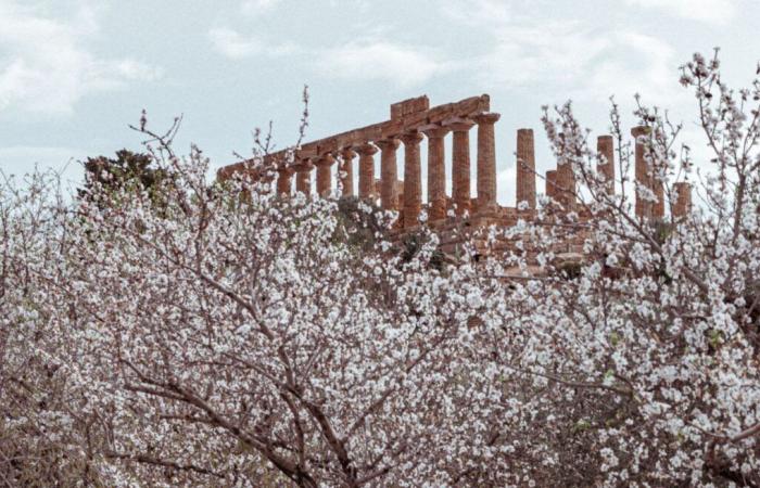 Destinazioni per ogni stagione