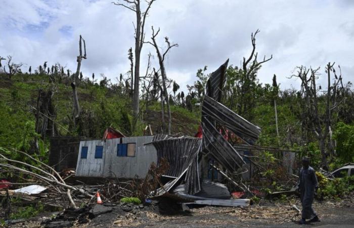 “La paura comincia a guadagnare terreno” con l’avvicinarsi del ciclone Dikeledi, afferma il presidente del Collettivo dei cittadini di Mayotte