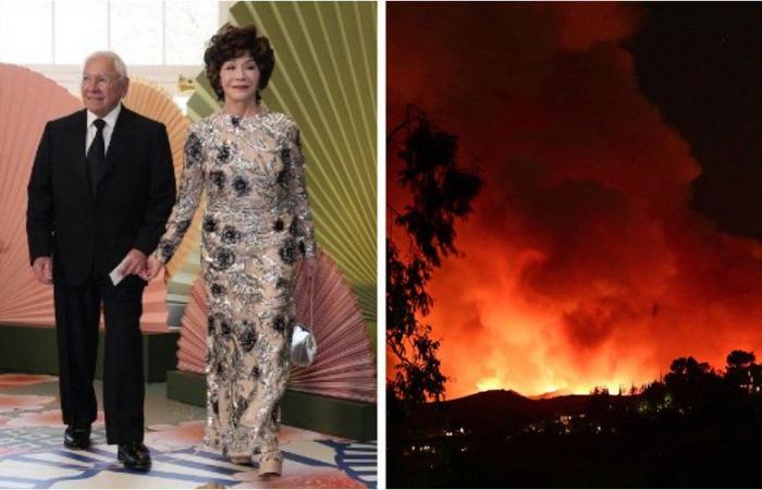 Giganteschi incendi a Los Angeles: chi sono Stewart e Lynda Resnick, la coppia miliardaria accusata di monopolizzare l’acqua in California