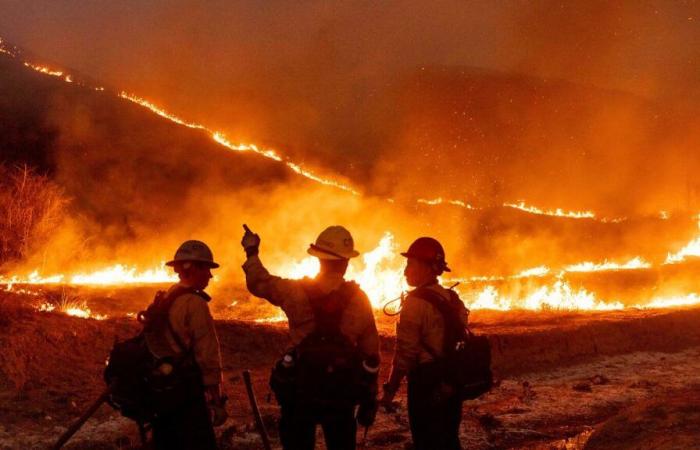 Incendi in California: il governatore Newsom invita Trump a Los Angeles, il negazionista del clima James Woods sperimenta “miracoli”