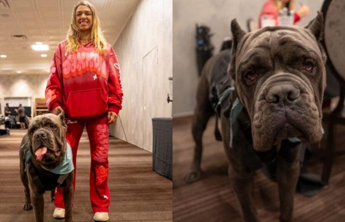 Perché Mackenzie Dern aveva con sé un cane di supporto emotivo alla conferenza stampa di UFC Vegas 101? Il cane apparirà il giorno del combattimento?