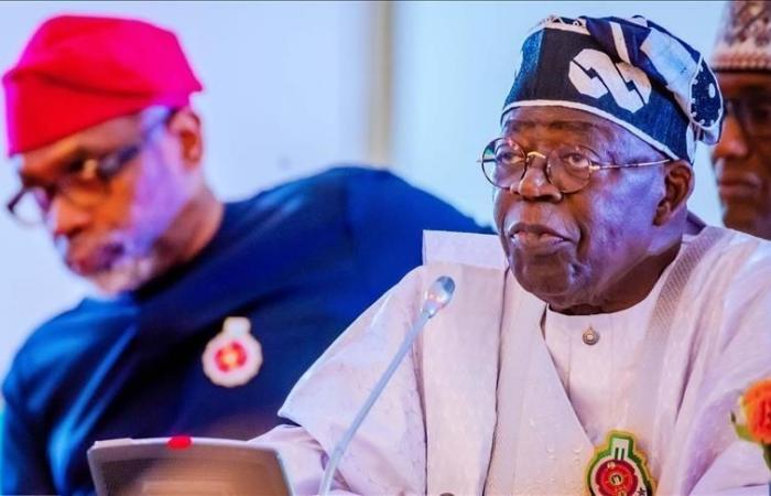 Tinubu vuole rafforzare gli scambi monetari