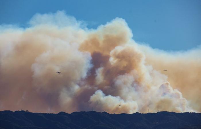 La stampa in California | Distruzione, disordine e aiuto reciproco