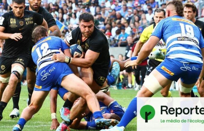 l’assurdità ecologica del rugby europeo