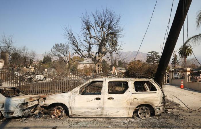 La stampa in California | Distruzione, disordine e aiuto reciproco