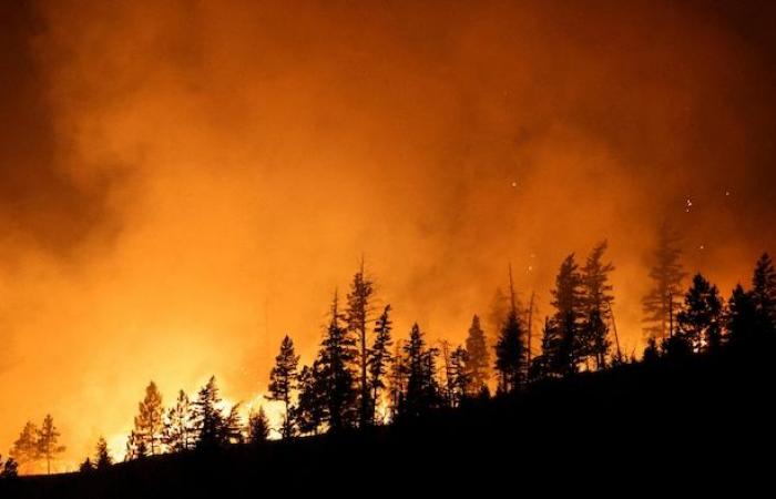 Lezioni da imparare dagli incendi di Los Angeles, dicono gli esperti