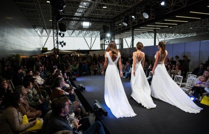 Fiera dei matrimoni, concerti, convention di tatuaggi… Cosa fare questo fine settimana a Tolosa?